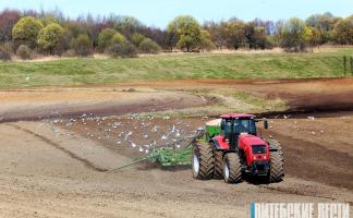 В Витебской области посеяно 35% от плана  ранних зерновых и зернобобовых культур